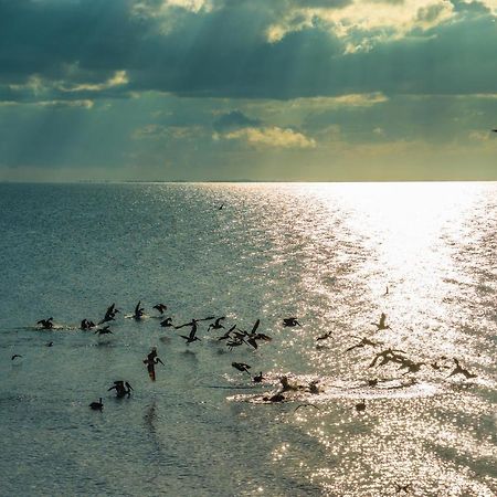 Pelican Beach Resort, Dangriga Eksteriør billede