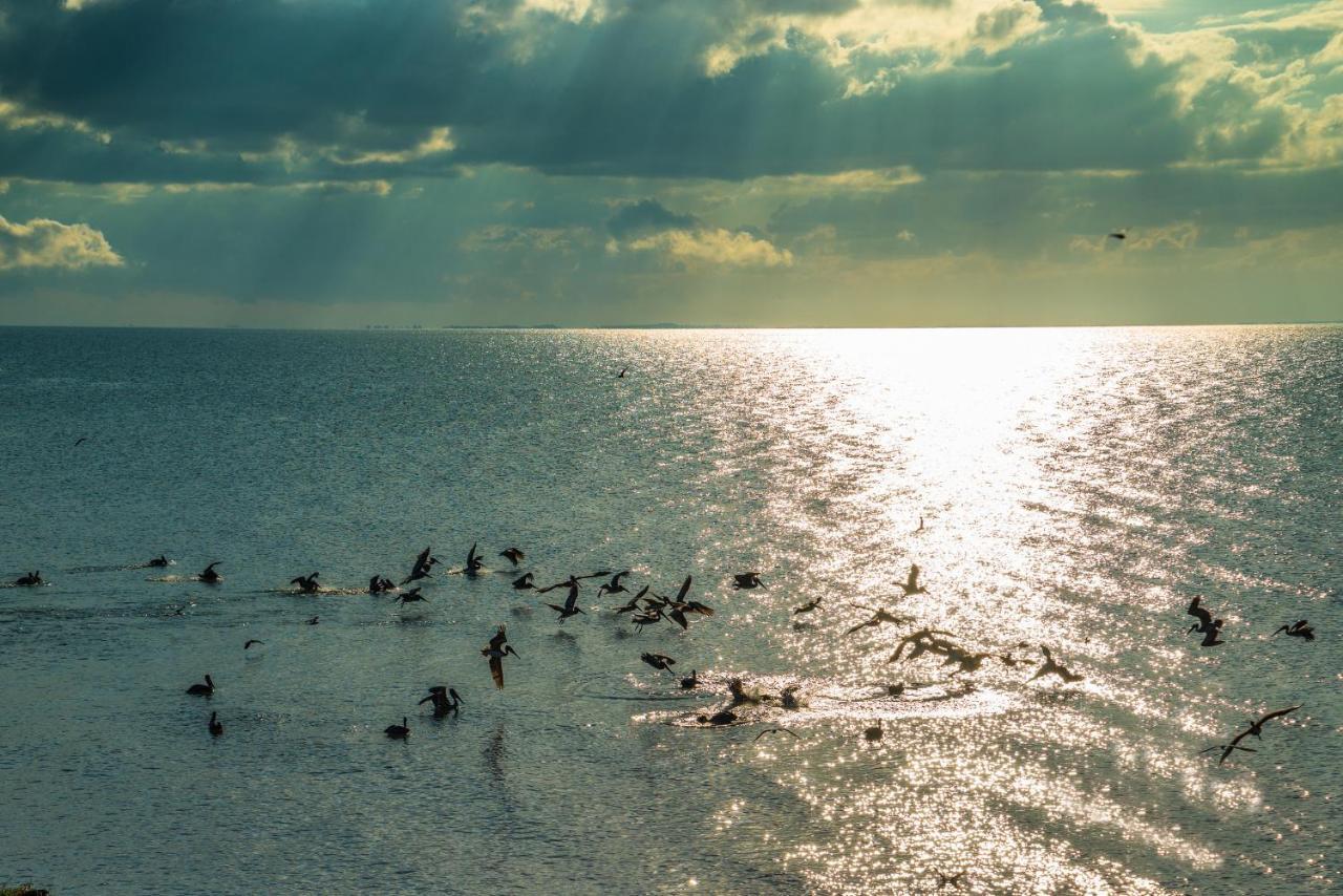 Pelican Beach Resort, Dangriga Eksteriør billede